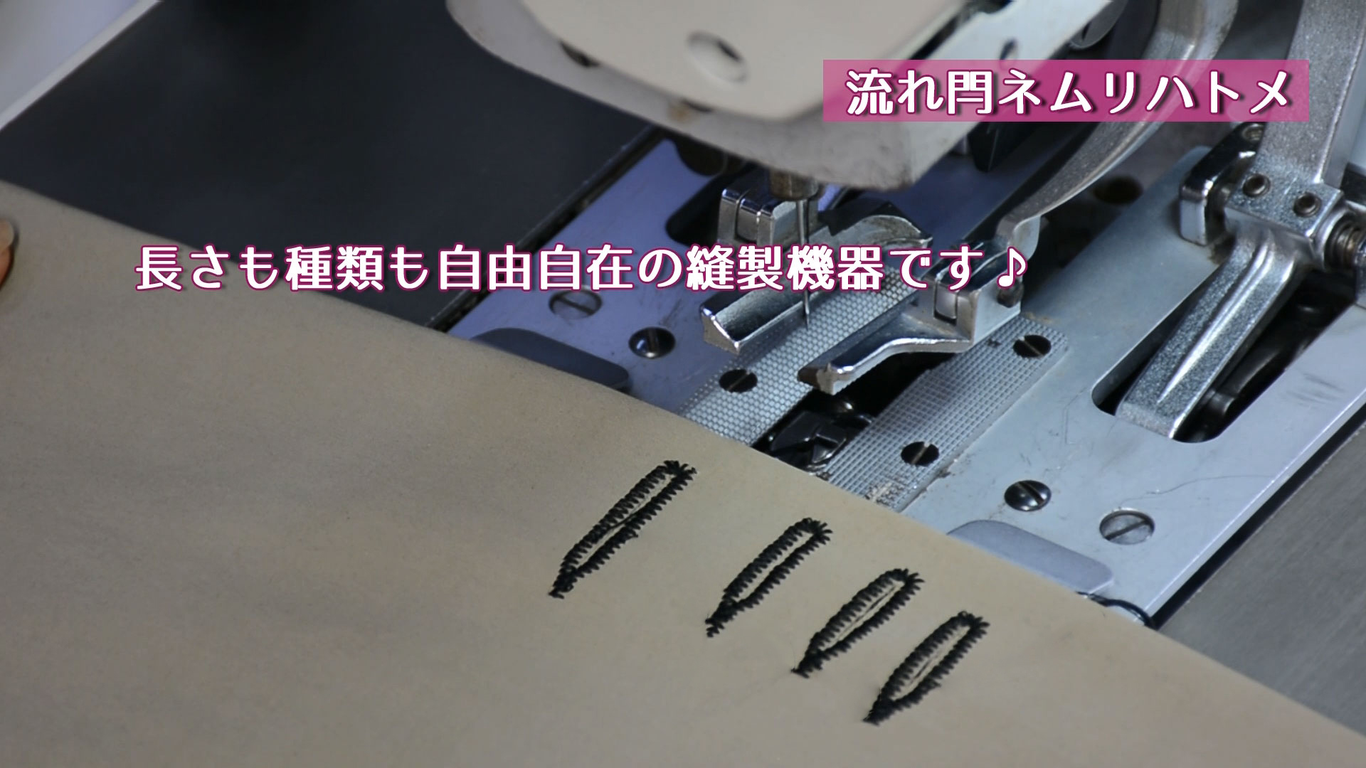 より綺麗に多種多彩なハトメ穴を縫製できるようになりました
